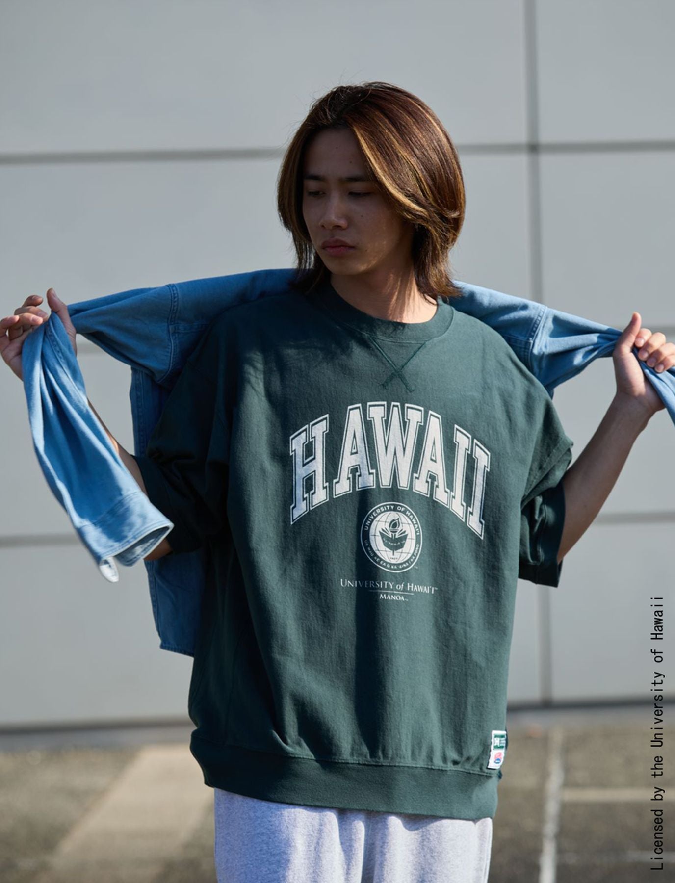 ハワイ大学 天竺スウェットBIG T｜NUTMEG(ナツメグ)公式オンライン