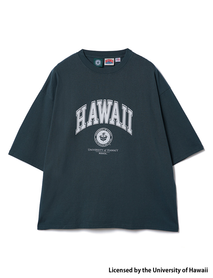 
                  
                    ハワイ大学 HAWAI SUPER BIG T
                  
                