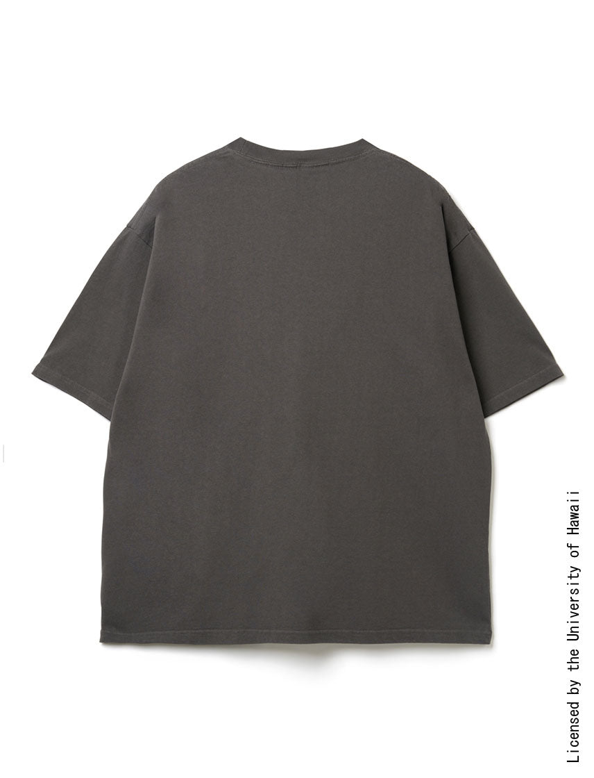 
                  
                    ハワイ大学 ヴィンテージベア BIG T
                  
                