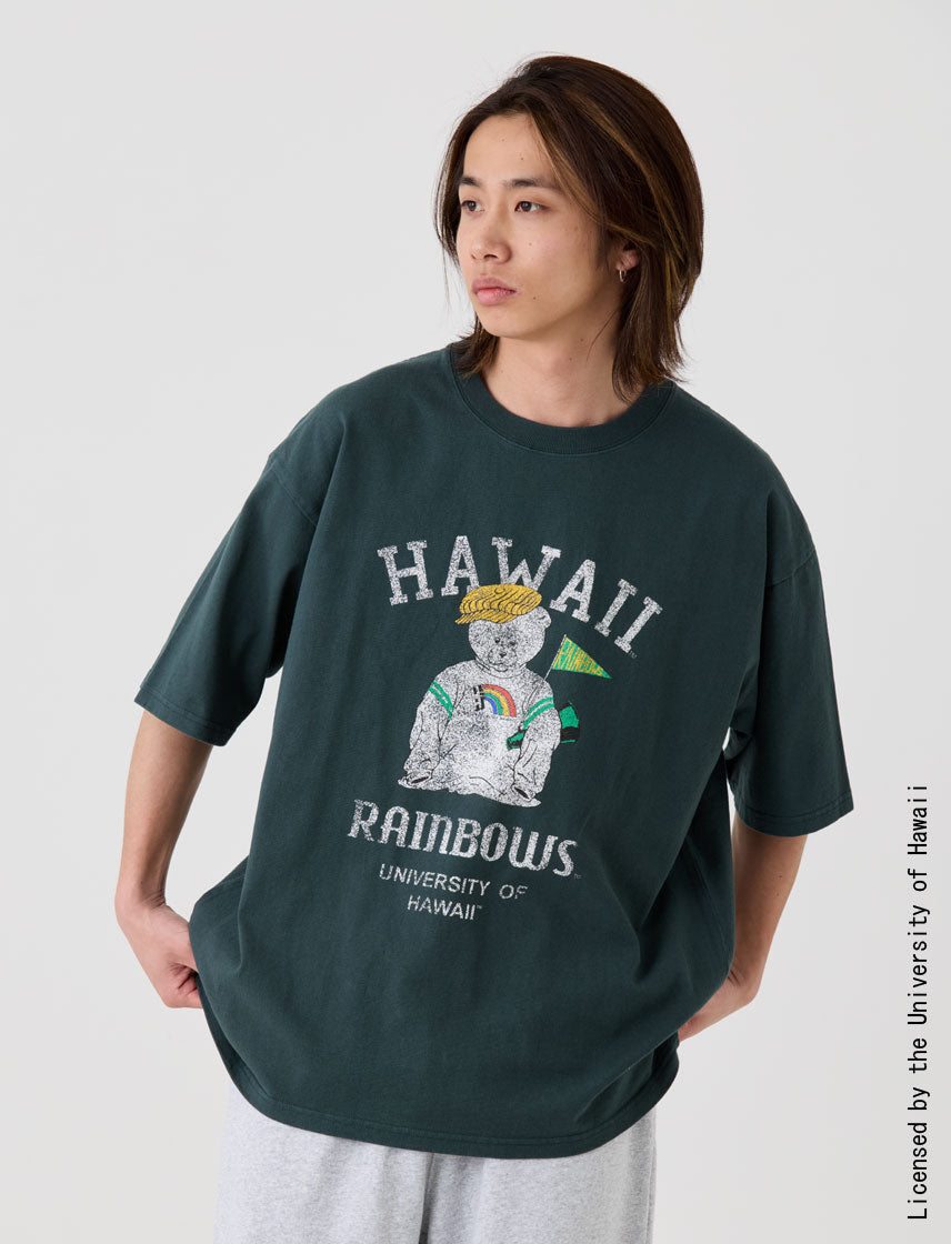 ハワイ大学 ヴィンテージベア BIG T