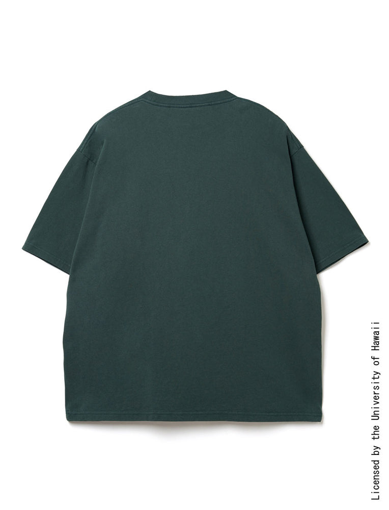 
                  
                    ハワイ大学 ヴィンテージベア BIG T
                  
                