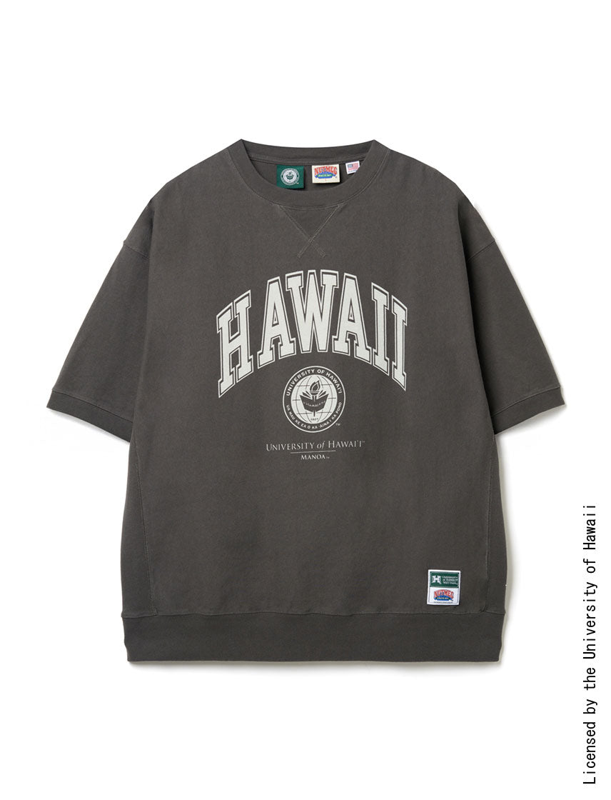 ハワイ大学 天竺スウェットBIG T｜NUTMEG(ナツメグ)公式オンライン