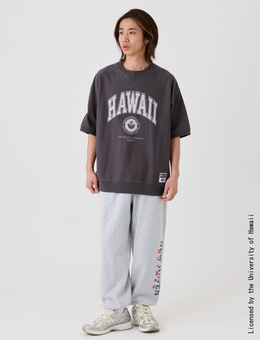 
                  
                    ハワイ大学 天竺スウェットBIG T
                  
                