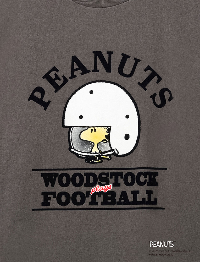 
                  
                    PEANUTS アーチロゴ フットボール BIG T
                  
                