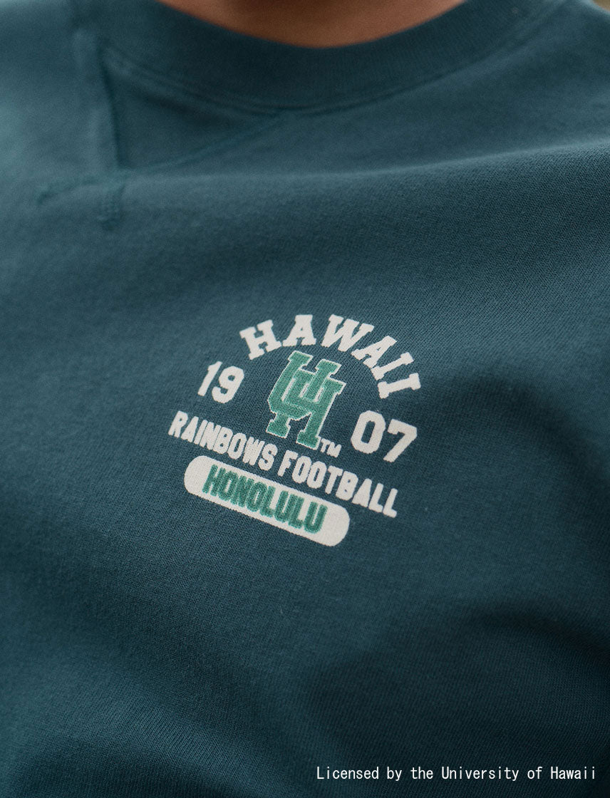 
                  
                    ハワイ大学 ヴィンテージ ロゴ 天竺 スウェットT
                  
                