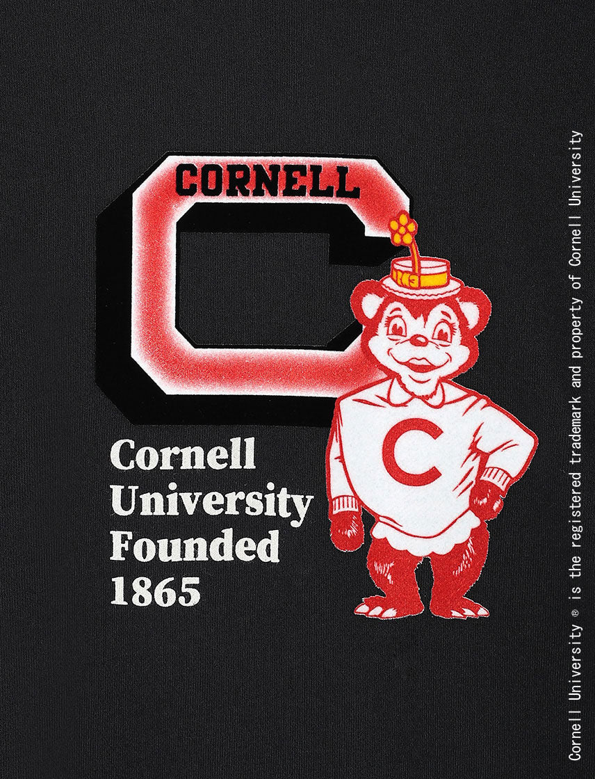 
                  
                    CORNELL 静電フロッキーロゴ プルパーカー
                  
                