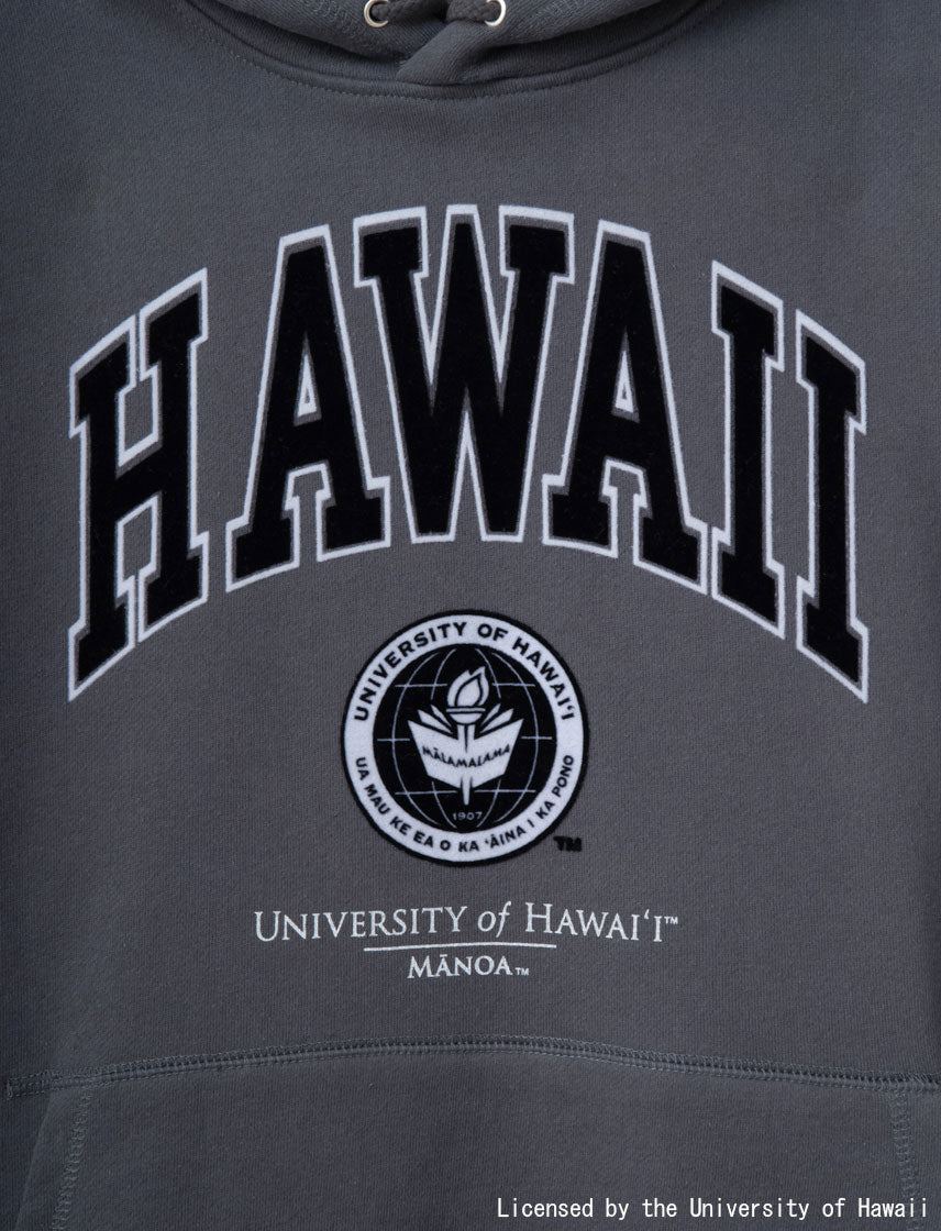 
                  
                    University of Hawaii Vintage Logo Jersey Sweatshirt
                  
                