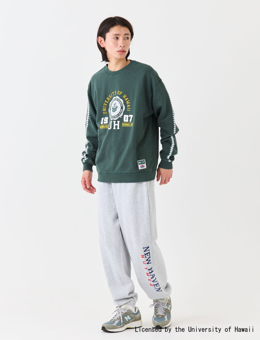 ハワイ大学 スウェット Sサイズ ハワイ大学 スウェット Sサイズ